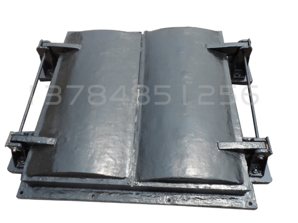 双开侧翻铸铁拍门